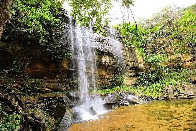 Day Trip to Shimba Hills National Reserve - photo 2