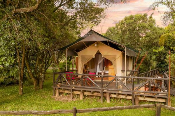 2 DAY -1 NIGHT SAFARI TOUR MASAI MARA NATIONAL RESERVE