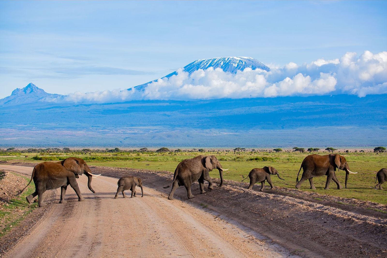 2 DAY SAFARI TO AMBOSELI PARK AND MT. KILIMANJARO - photo 4