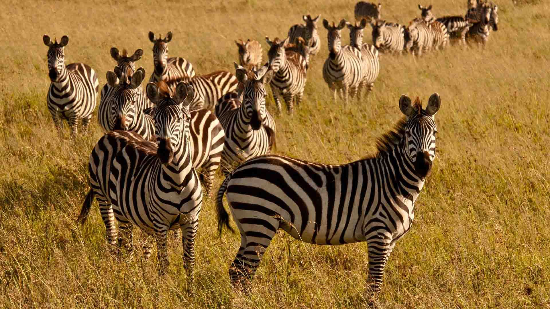 Day Trip to Shimba Hills National Reserve - photo 4