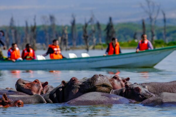 Lake Naivasha and Hell’s Gate National Park Day Tour From Nairobi