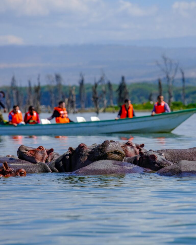 Lake Naivasha Hells Gate day tour