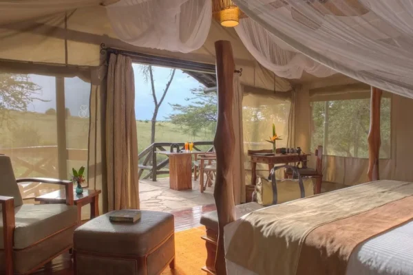 3-Day Luxury Maasai Mara Safari | Private Road Safari from Nairobi
