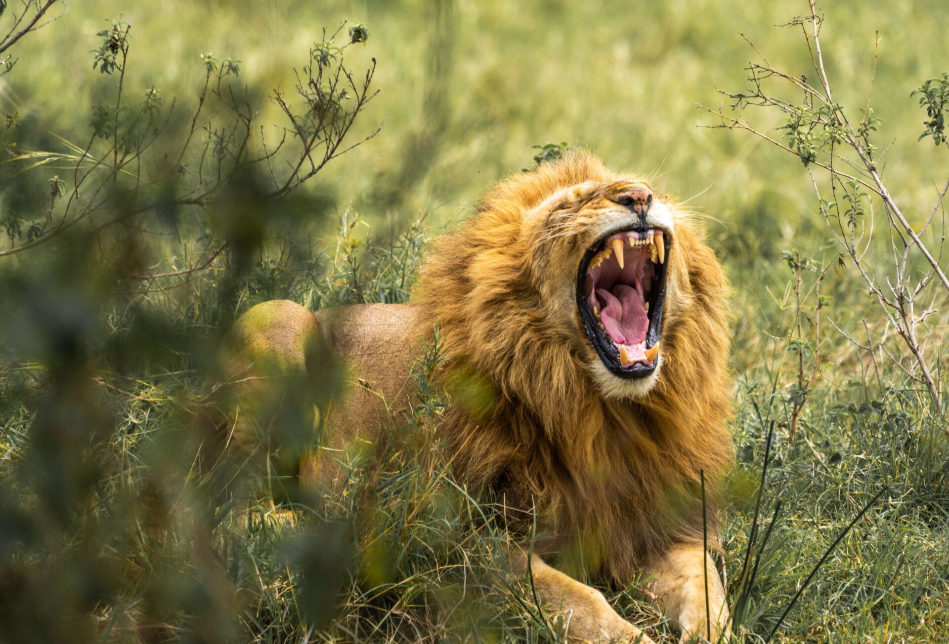 3-Day Group Joining Safari Kenya | Maasai Mara Tour - photo 2