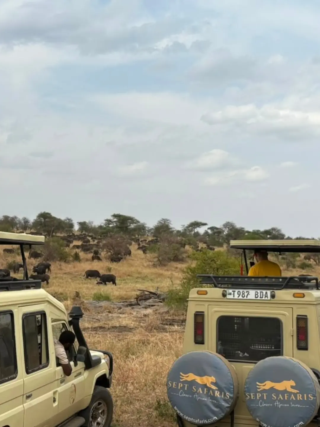 2-Day Private Tarangire National Park Safari | Tanzania - photo 3