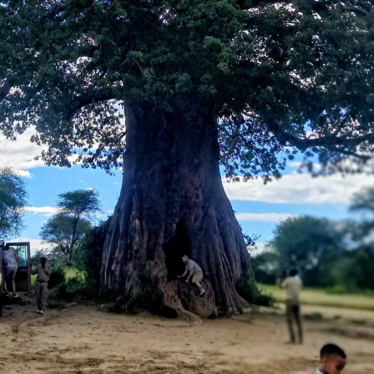 2-Day Private Tarangire National Park Safari | Tanzania - photo 6