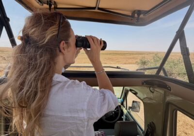 Kenya Safari Tour Questions: Everything First-Time Visitors Ask