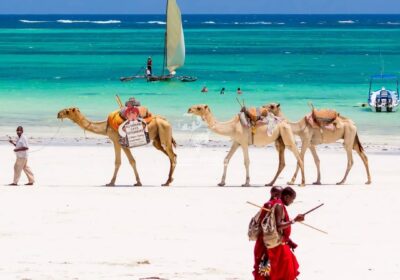 Best Things to Do in Mombasa: Beach, Culture & Day Trips