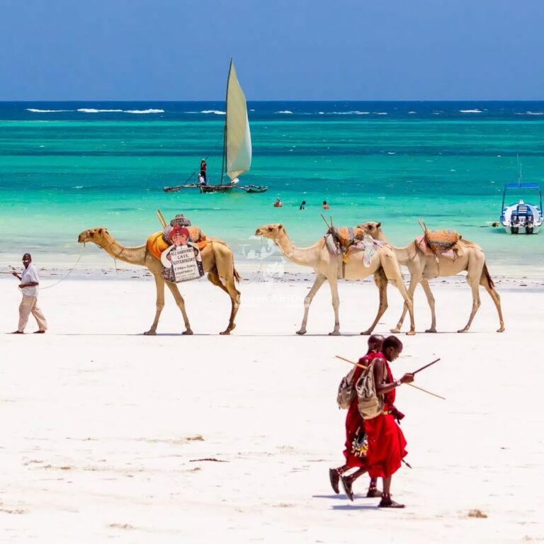 Best Things to Do in Mombasa: Beach, Culture & Day Trips
