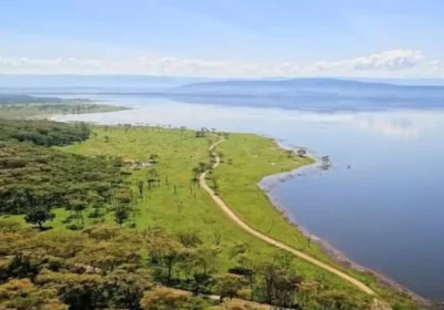 Lake Nakuru vs. Lake Naivasha: What’s the Difference and Can You Do Both?