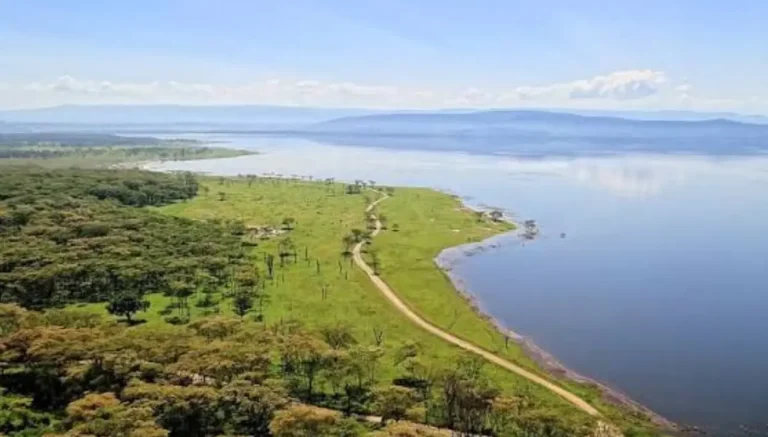 Lake Nakuru vs. Lake Naivasha: What’s the Difference and Can You Do Both?