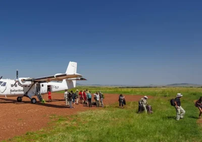 Nairobi to Maasai Mara: Road Transport vs. Fly-in Safaris (Cost Comparison)