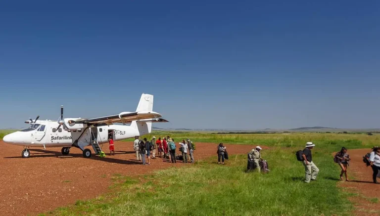 Nairobi to Maasai Mara: Road Transport vs. Fly-in Safaris (Cost Comparison)