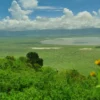 Ngorongoro Crater: Africa’s Garden of Eden Safari Guide