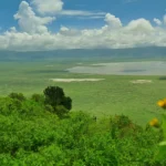 Ngorongoro Crater: Africa's Garden of Eden Safari Guide