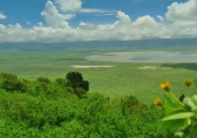 Ngorongoro Crater: Africa’s Garden of Eden Safari Guide