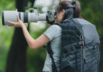 Safari Photography Tips: How to Capture Your Kenya Safari
