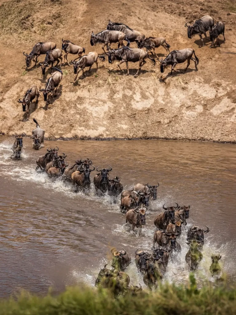 4-Days group Joining Maasai Mara
