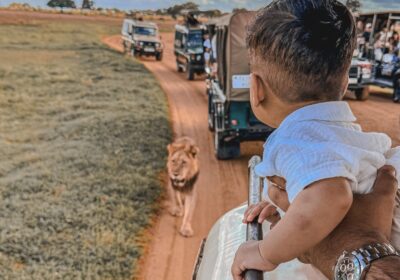Family Safari Kenya: Best Parks, Lodges and Tips for Kids