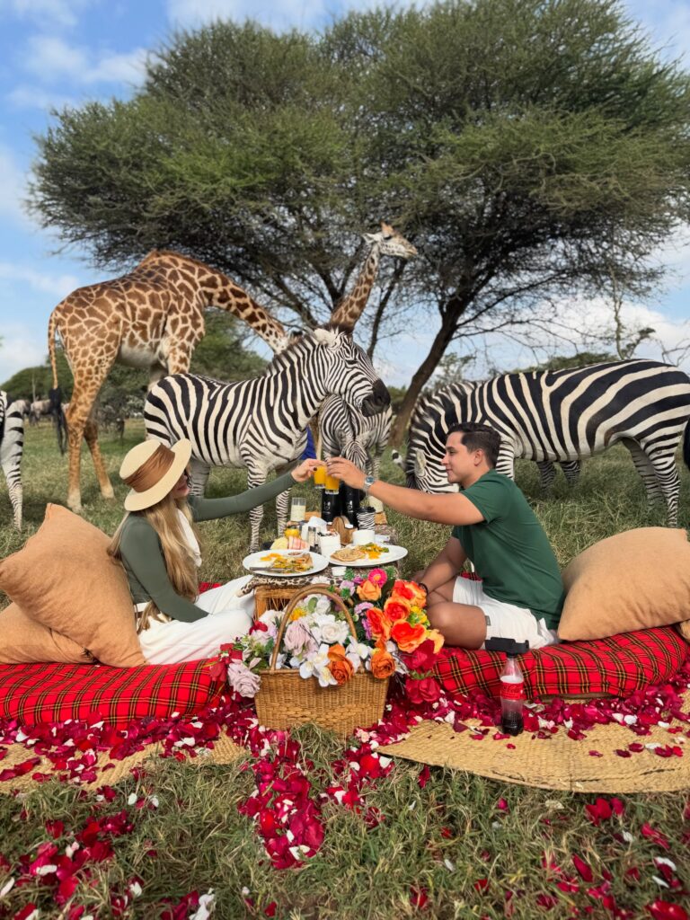 Honeymoon Safari
