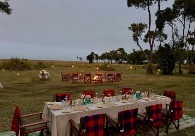 Cost of Luxury Safari Tours in Kenya: What to Really Expect