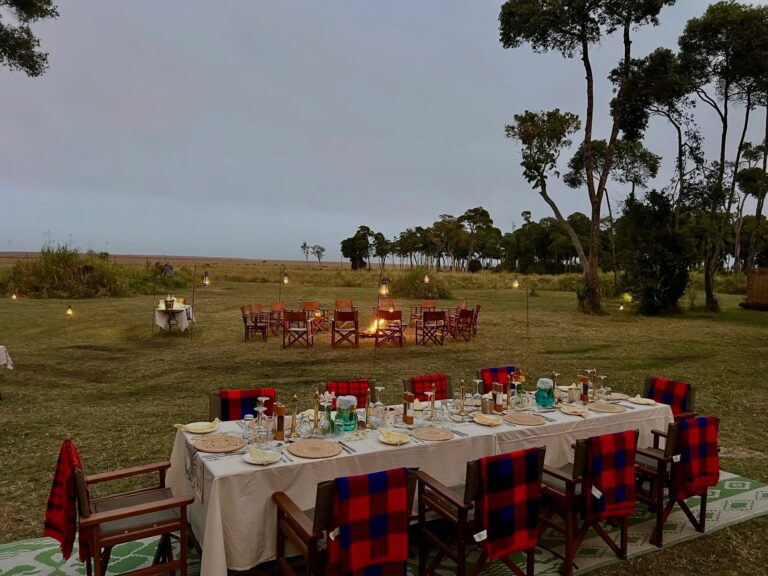 Cost of Luxury Safari Tours in Kenya: What to Really Expect