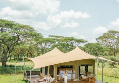 Top Sustainable Eco-Lodges in the Maasai Mara
