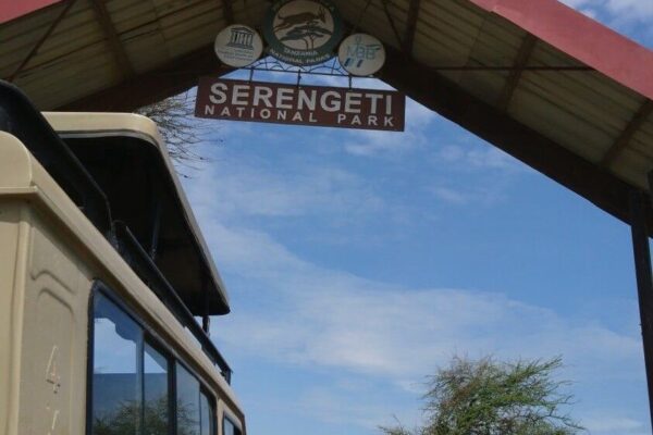 3-Day Serengeti National Park Safari | Tanzania Safari